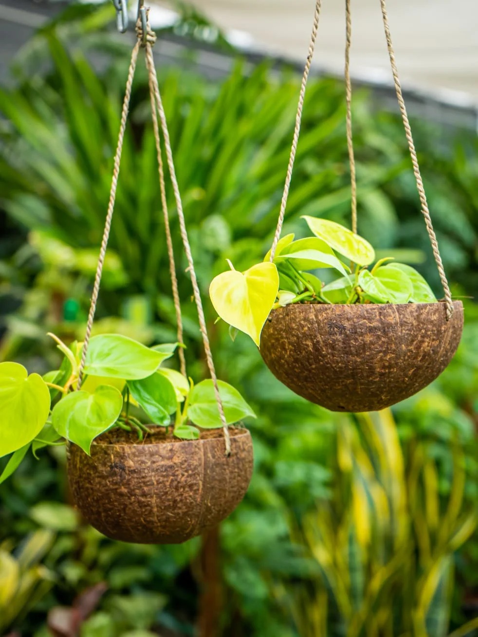 Artisan working on a coconut shell