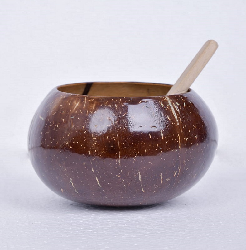Coconut Shell Bowl